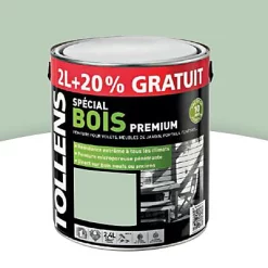 Castorama Peinture Bois Extérieur Premium Vert Olivier Tollens 2L + 20% Gratuit