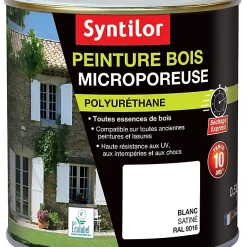 Castorama Peinture Bois Microporeuse Intérieur Extérieur Blanc Syntilor 0,5L